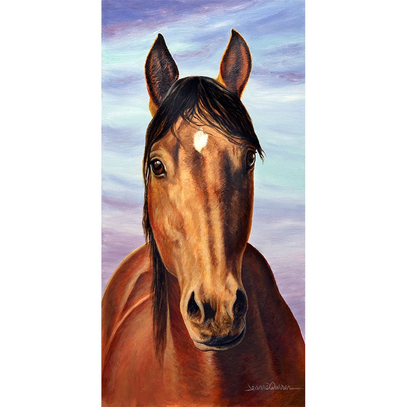 "Franky" - American Quarter Horse Art Print