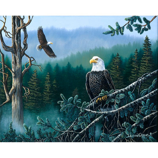 Perched and in flight American Bald Eagle in Pacific Northwest forest Painting by Wildlife Artist Jeanne Warren