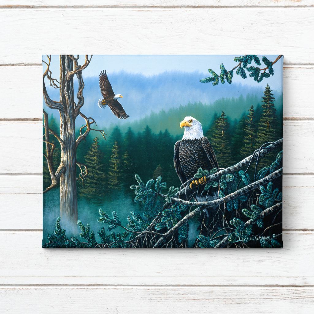 American Bald Eagle in Pacific Northwest forest Canvas Art Print - "Freedom"  by Wildlife Artist Jeanne Warren