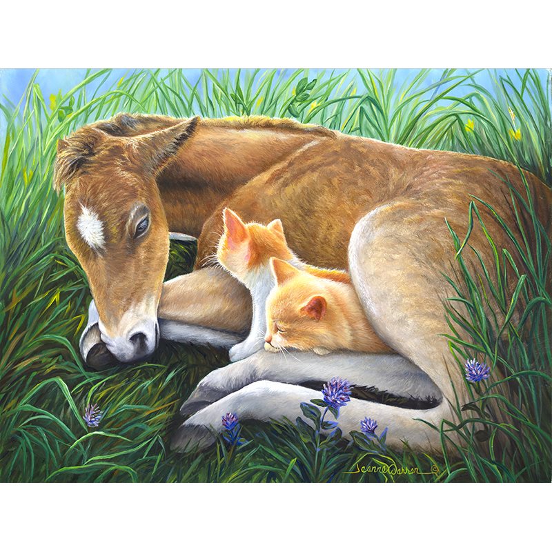 Baby Colt Horse and Orange Kittens sleeping in the grass. Original oil painting by Jeanne Warren