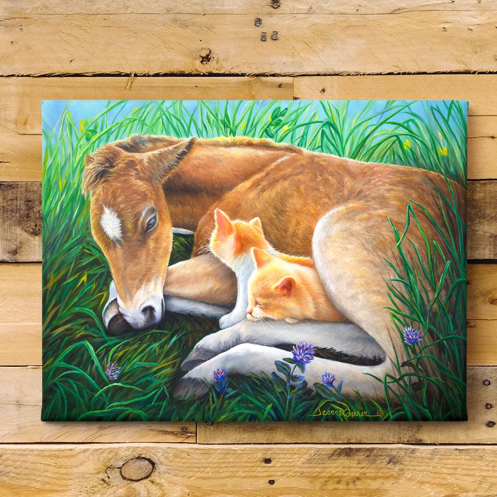 Baby Colt Horse and Orange Kittens sleeping in the grass Canvas Art Print hanging on shiplap  by Jeanne Warren