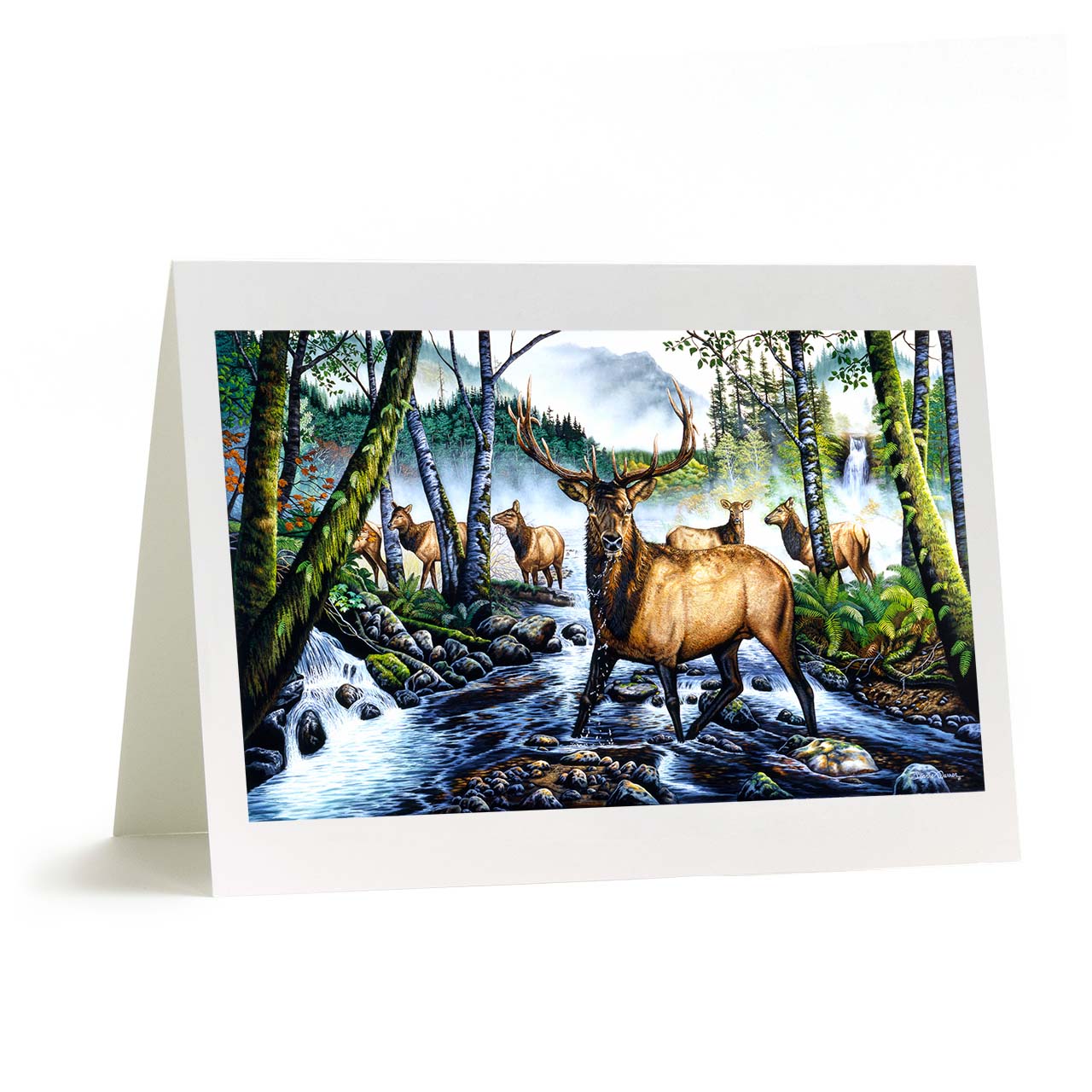 Rocky Mountain Elk Art Greeting Card - "Ghost Herd"