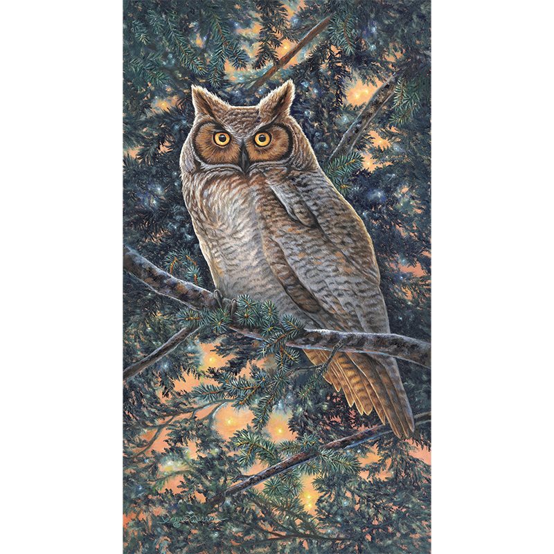 Great Horned Owl Bird of Prey Wildlife Art Print featuring a majestic owl perched on a blue spruce branch at dusk, with glowing amber eyes and detailed feathers against a backdrop of evergreen needles illuminated by warm orange sunset light