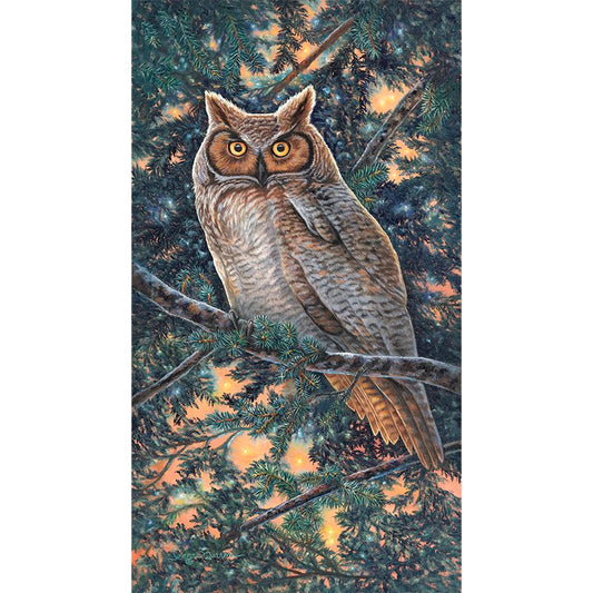 Great Horned Owl Bird of Prey Wildlife Art Print featuring a majestic owl perched on a blue spruce branch at dusk, with glowing amber eyes and detailed feathers against a backdrop of evergreen needles illuminated by warm orange sunset light
