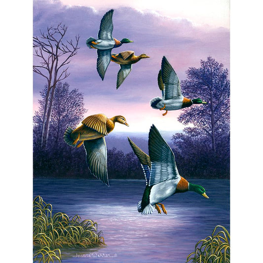 Mallard Ducks in Flight Art Print - "Green Heads"