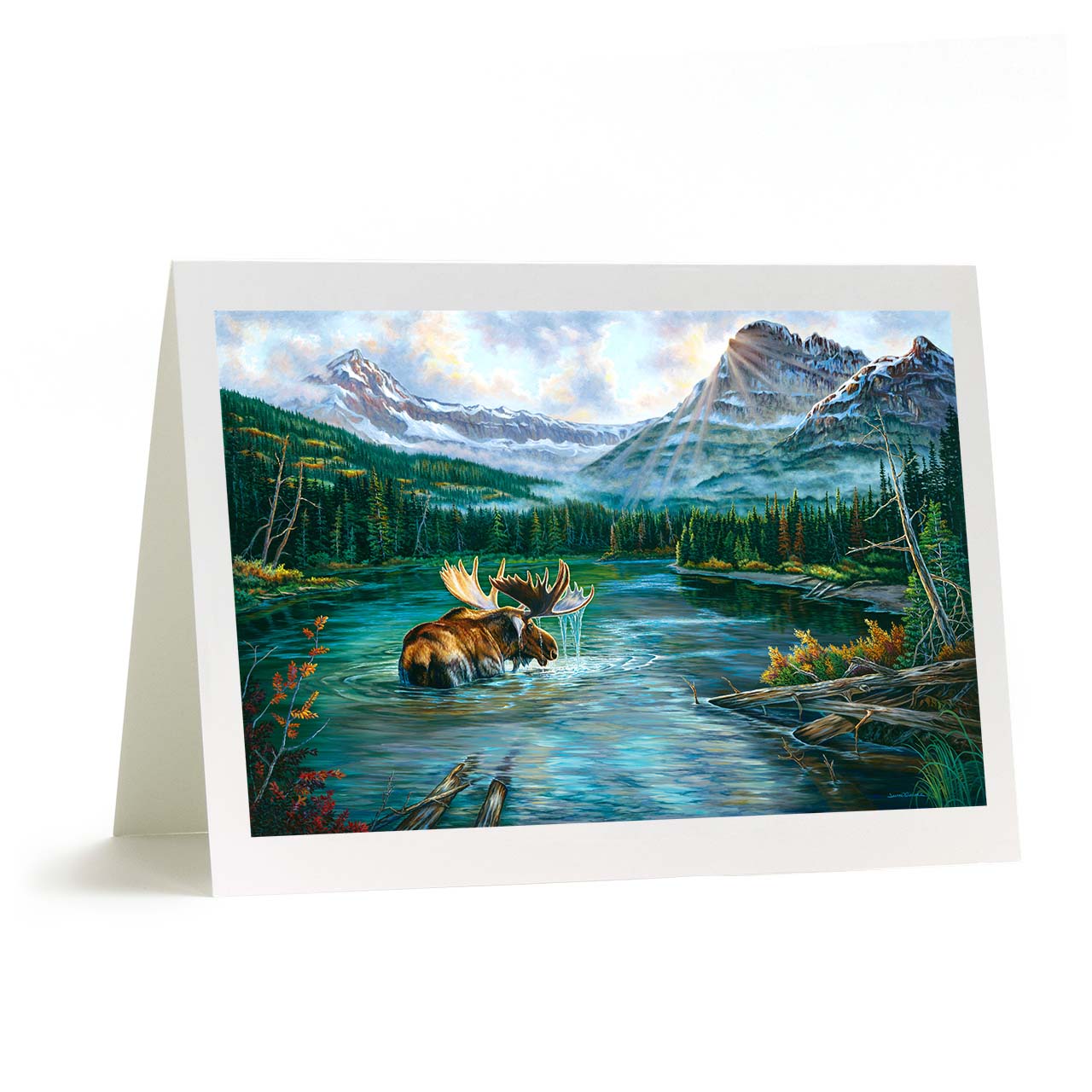 "Heavy Shield Warrior" - Giant Moose in Glacier National Art Card