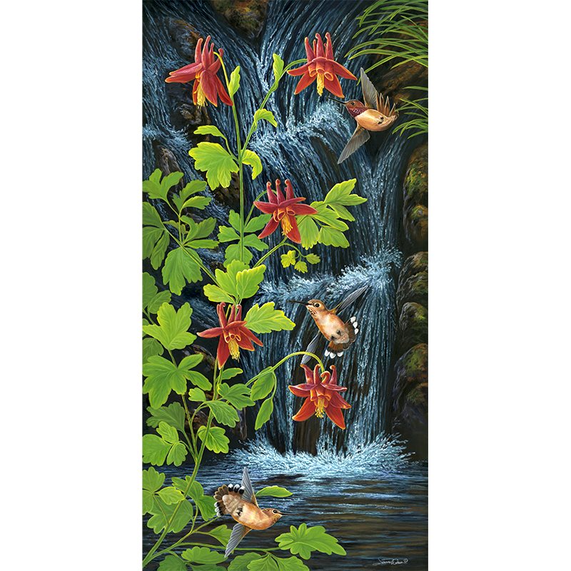 Rufous Hummingbirds & Columbine Flowers Art Print - "Hummers & Columbine"