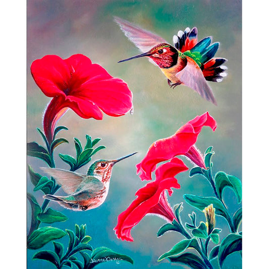 An oil painting of two rufous hummingbirds harvesting nectar with their long agile tongues. A female and brightly colored male hover about a cluster of bright red petunias in full bloom. By artist Jeanne Warren.