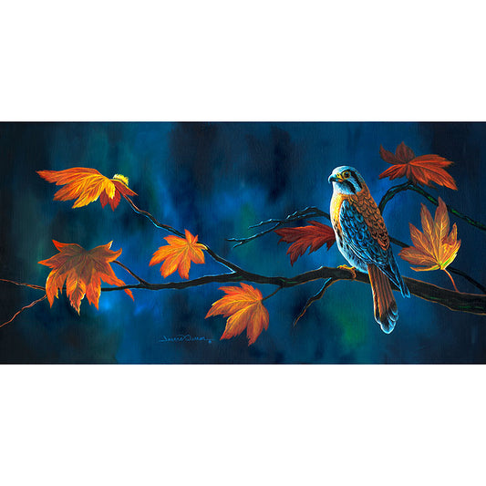 "Kestrel" - American Kestrel Falcon in Autumn Art Print