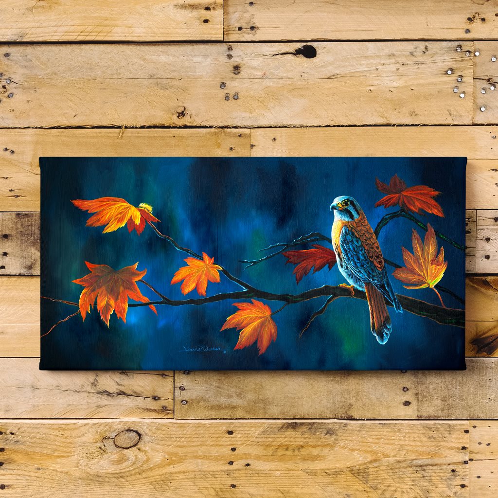 "Kestrel" - American Kestrel Falcon in Autumn Art Print