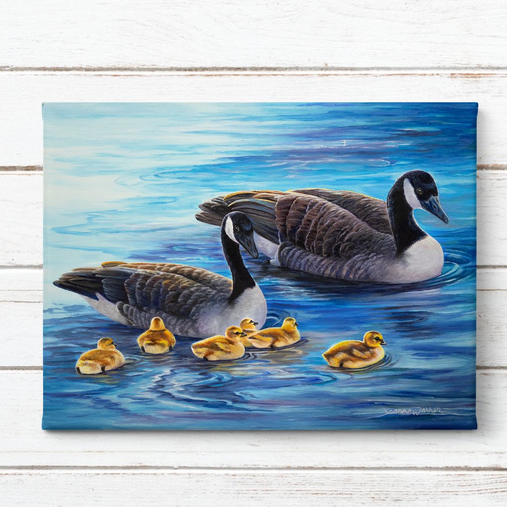 "Little Wakes" - Canadian Geese and Goslings Art Print
