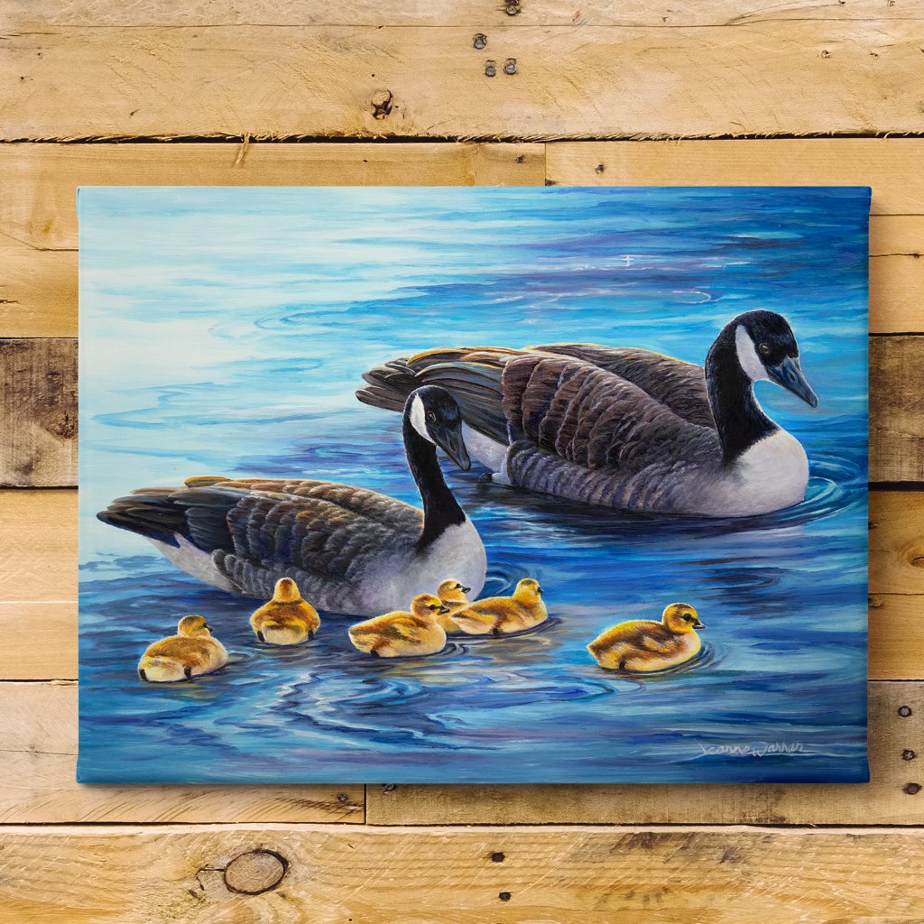"Little Wakes" - Canadian Geese and Goslings Art Print