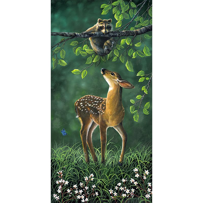"Looking Up" - Baby Deer and Raccoon Art Print