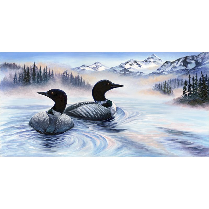 "Loons" - Common Loons in Alaska Art Print