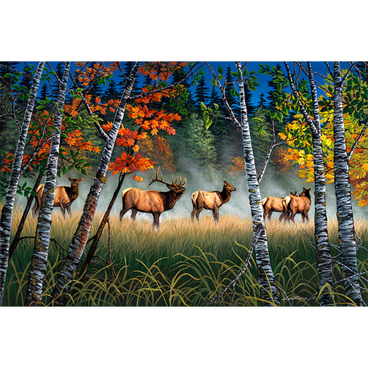 Roosevelt Bull Elk and Herd in Autumn Art Print - "Meadow Elk"
