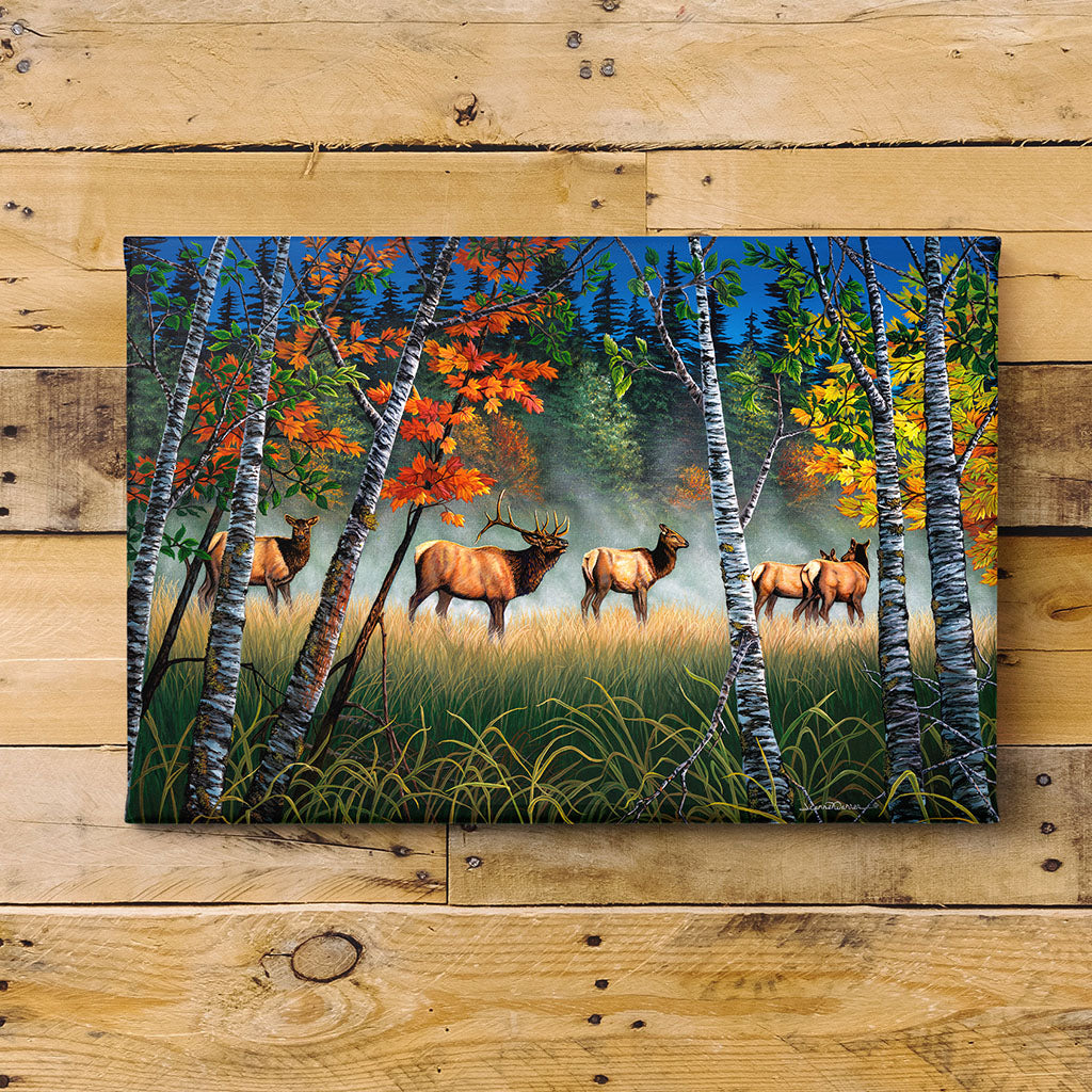 Roosevelt Bull Elk and Herd in Autumn Art Print - "Meadow Elk"
