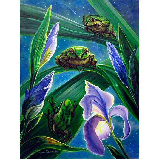 Pacific Tree Frog and Purple Iris Flowers Art Print - "Moonlight Sonata"