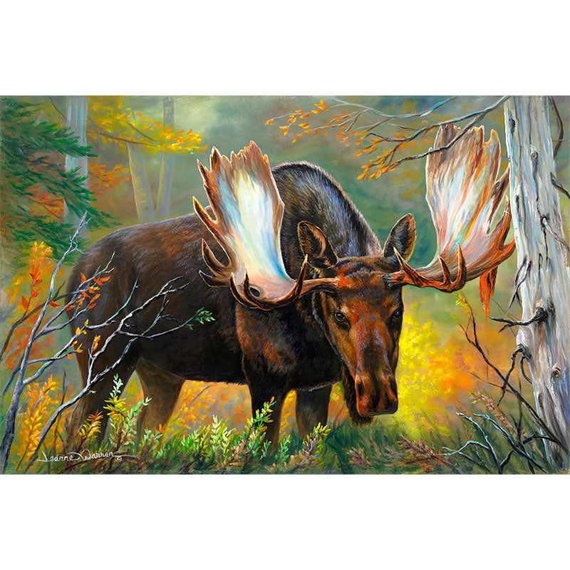 "Moose Watching" - Bull Moose in Velvet Art Print