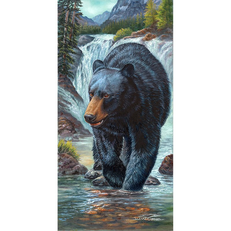 "On the Prowl" - Black Bear and Water Falls Art Print