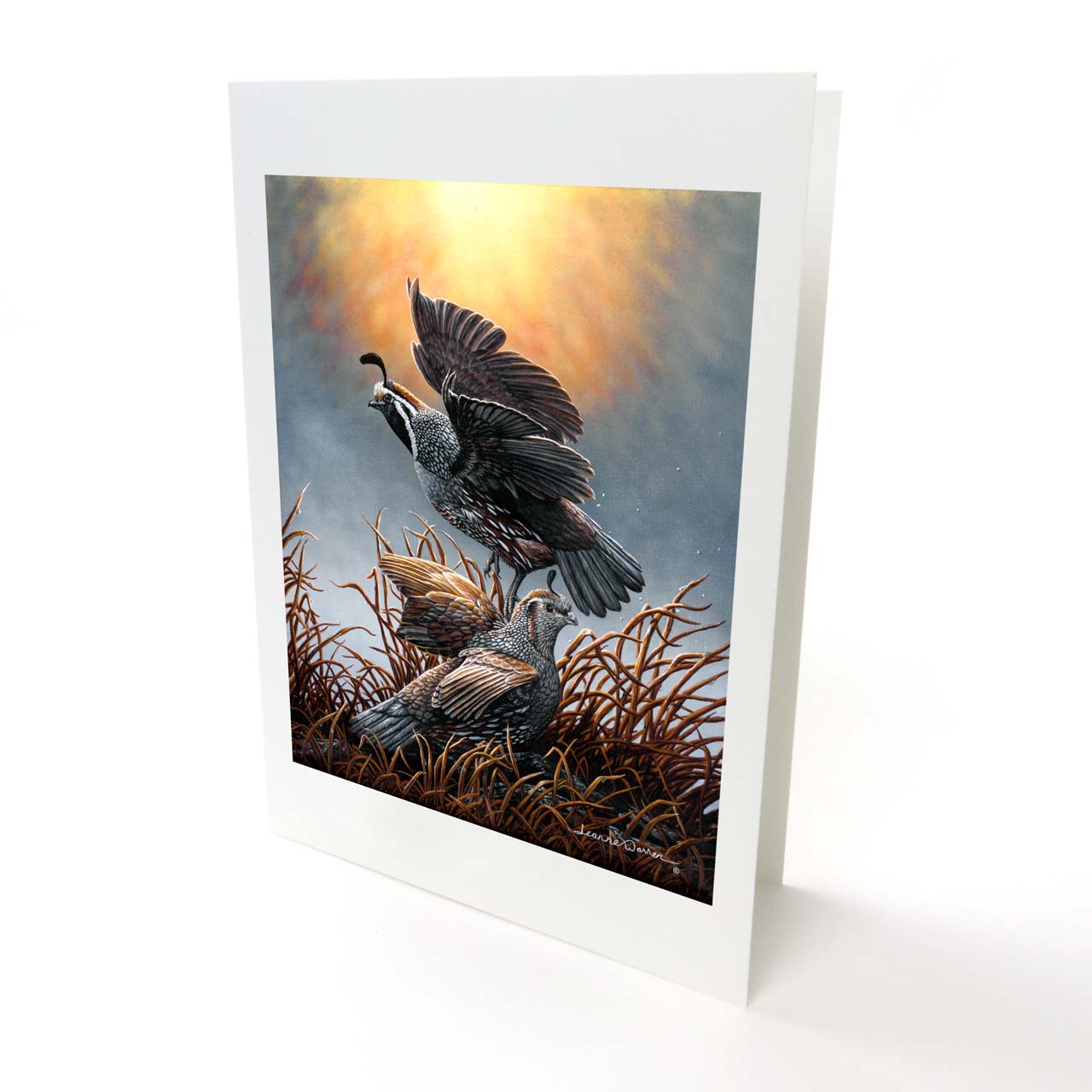 New World Quail Art Greeting Card - "Quail Rise"