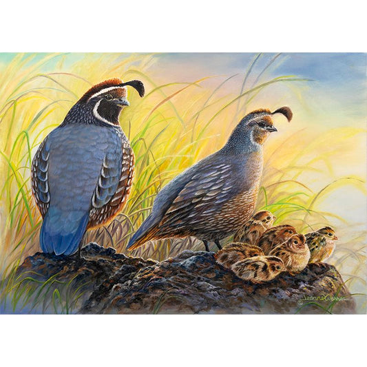 "Quiver Full" - Baby New World Quail with Parents Art Print