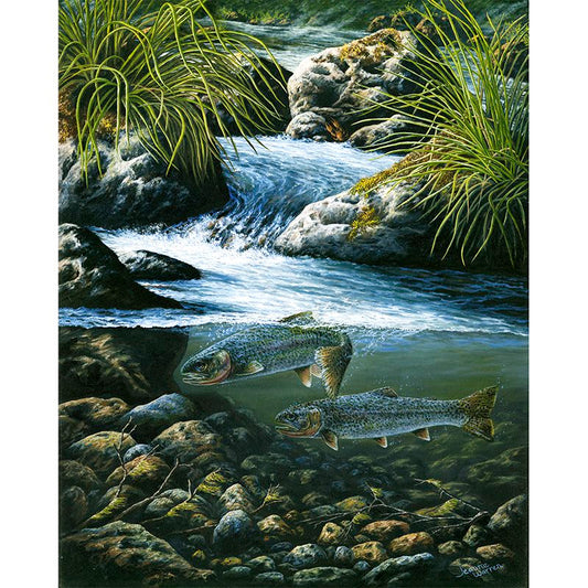 Sea-Run Cutthroat Trout Art Print - "River Run"