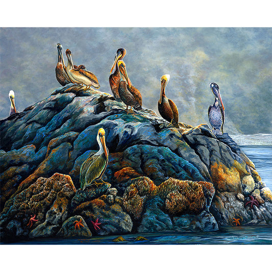 "Rockin Out" - Sea Pelicans Art Print
