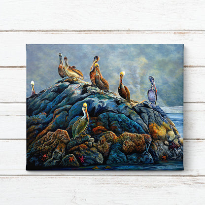 "Rockin Out" - Sea Pelicans Art Print