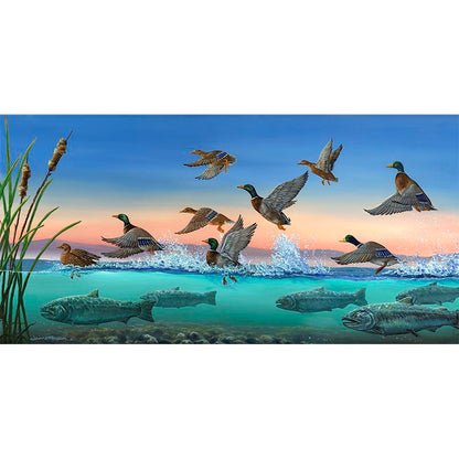 Mallard Ducks and Chinook Salmon Art Print - "Salmon Runway"