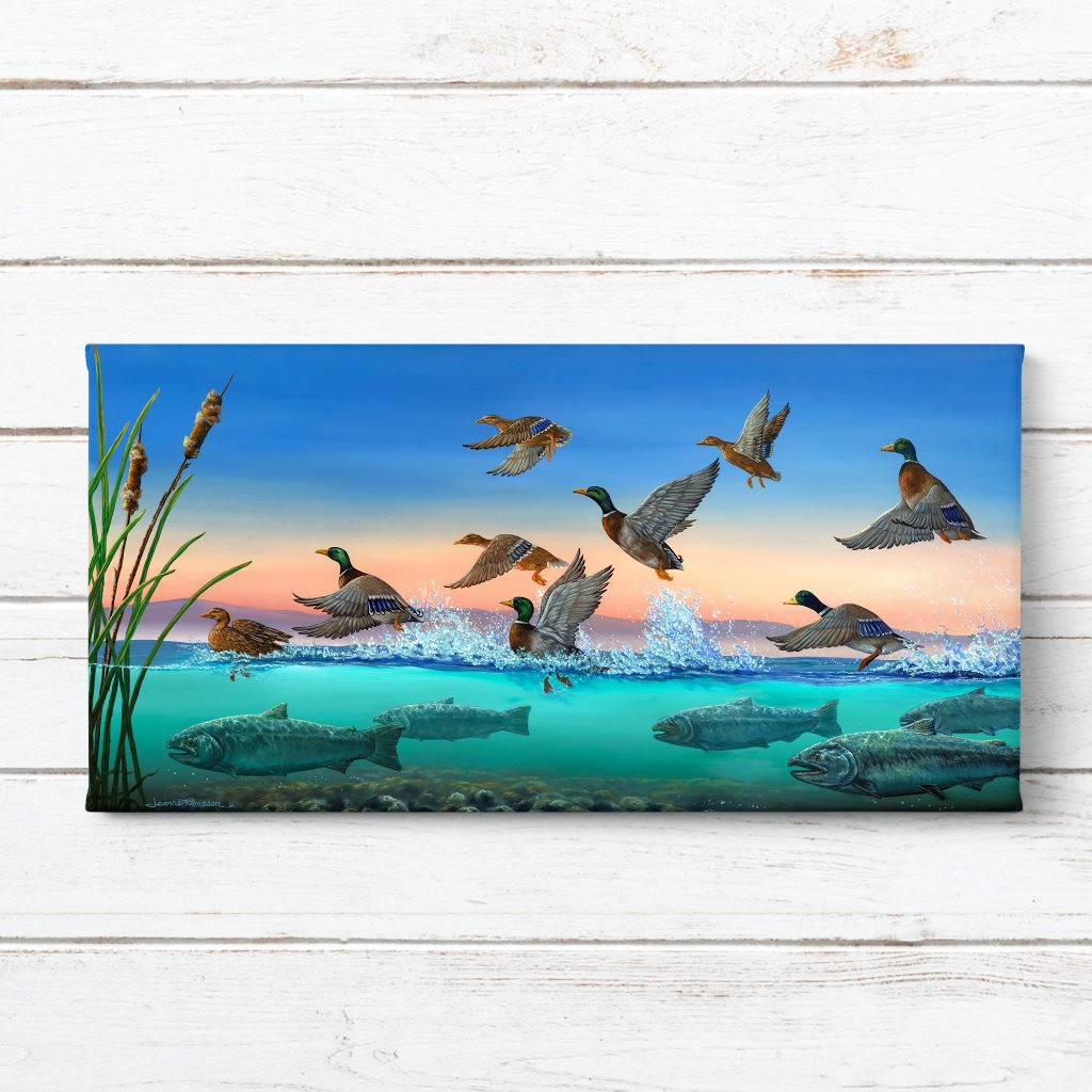 Mallard Ducks and Chinook Salmon Art Print - "Salmon Runway"