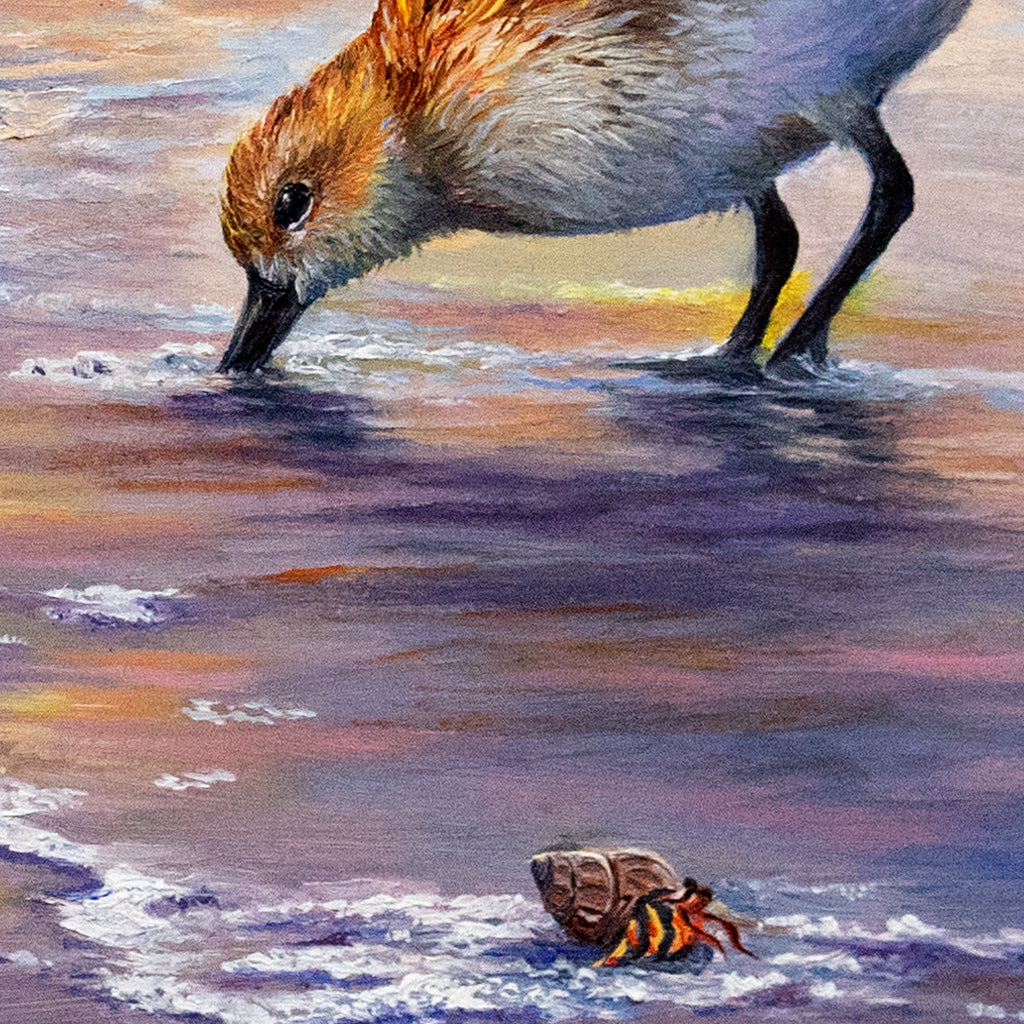 Sandpiper Birds and Beach 9x12" Oil Painting - "Sandpiper Surfing"