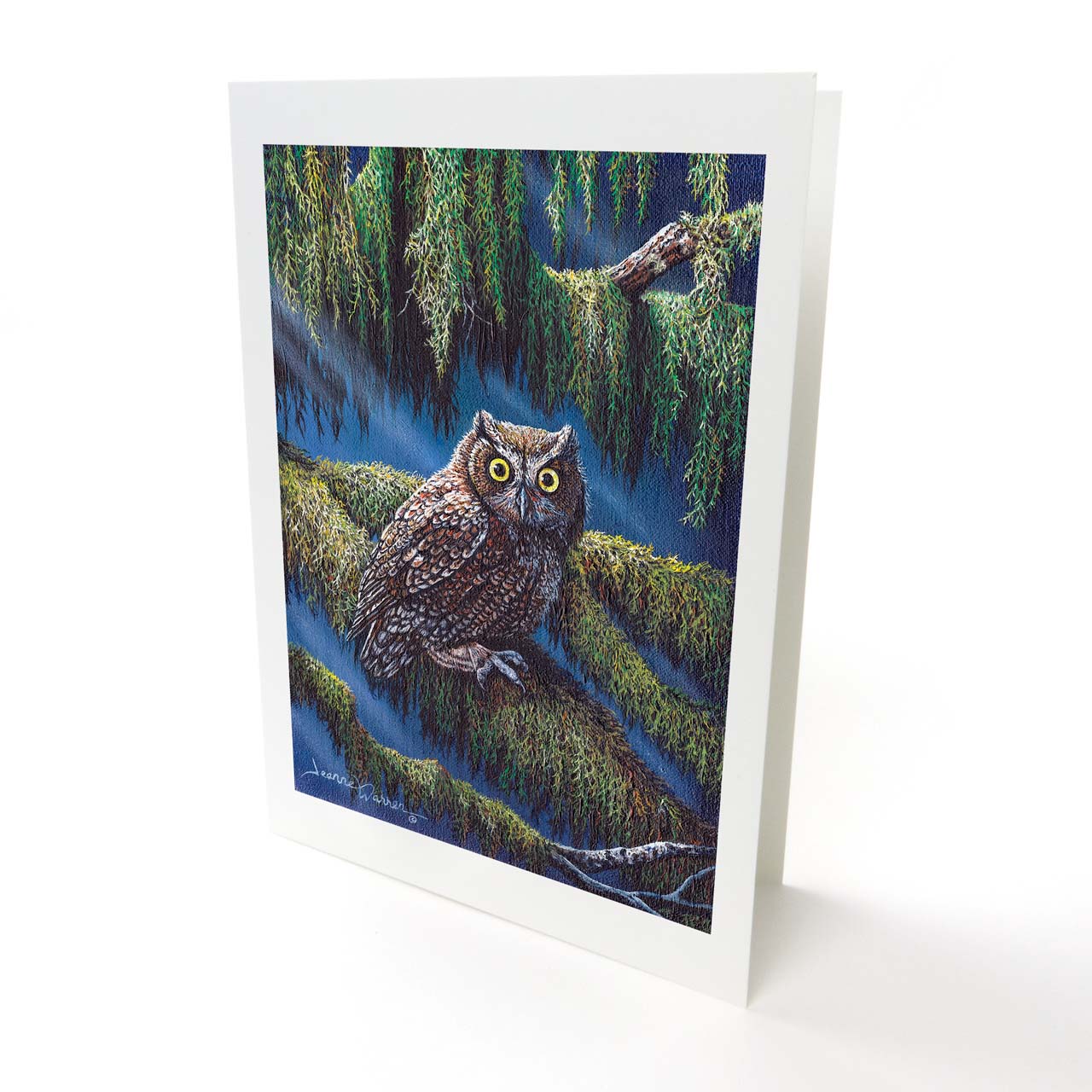 Screech Owl Art Greeting Card - "Screech Owl"