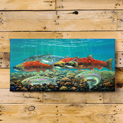 Sockeye Salmon Run Art Print - "Sockeye Salmon"