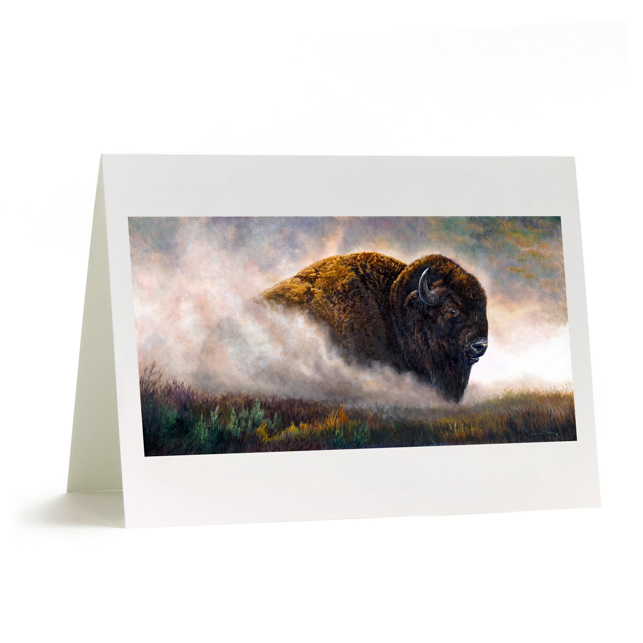 "Stirring Up Dust" - Wild Bison Bull Buffalo Art Greeting Card