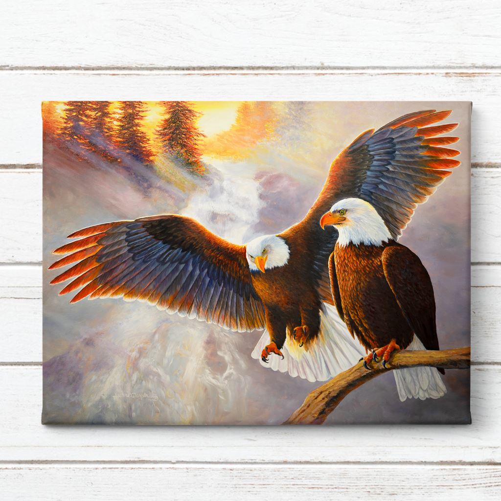 Soaring American Bald Eagle Canvas Print on White Shiplap Wall