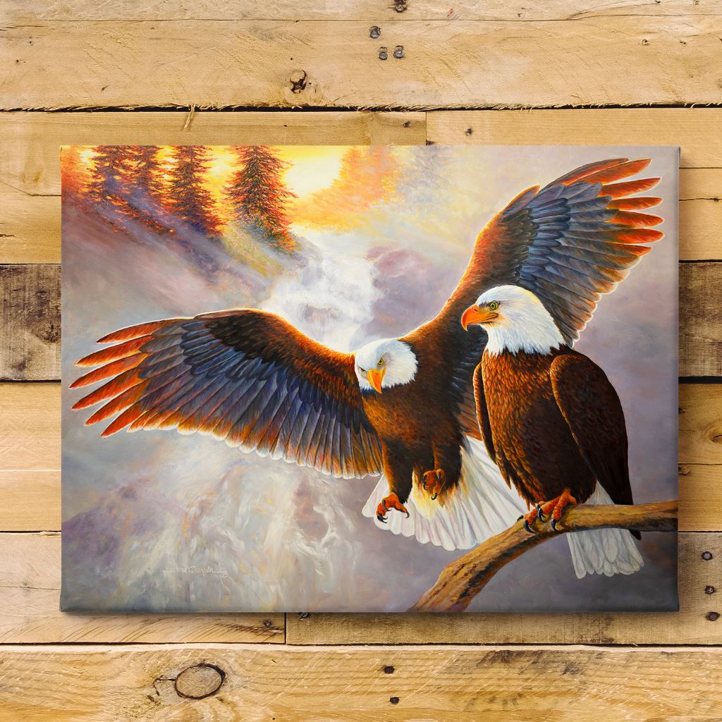 Soaring American Bald Eagle Canvas Print on Wood Shiplap Wall