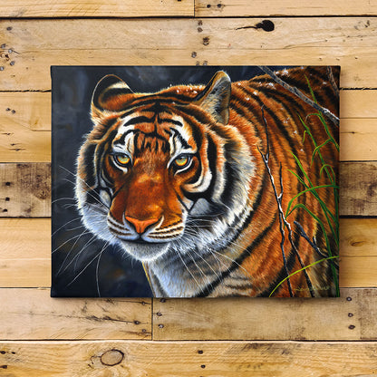 Siberian Tiger Art Print - "Tigers Eye"