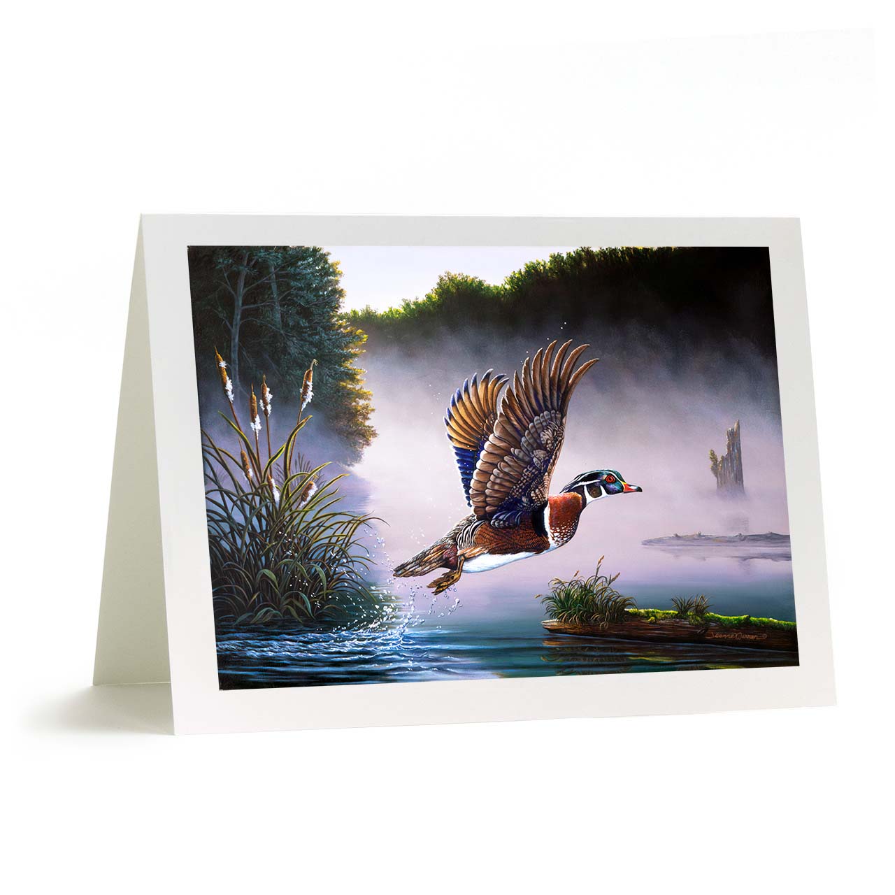 Male Wood Duck and Cattail Art Greeting Card - "Wood Duck"