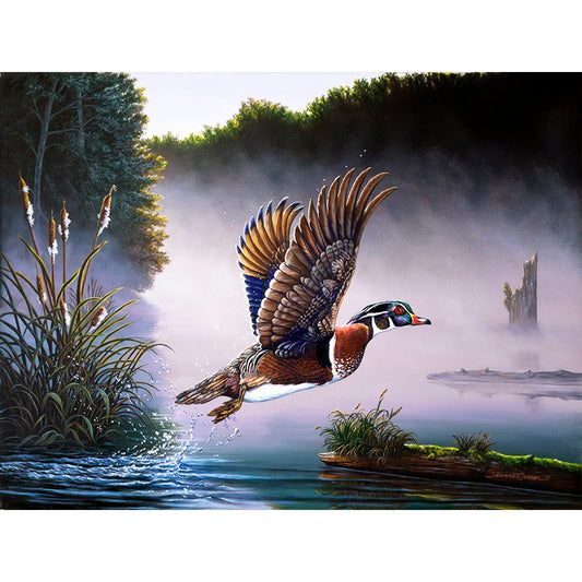 Male Wood Duck and Cattail Art Print - "Wood Duck"
