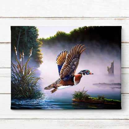 Male Wood Duck and Cattail Art Print - "Wood Duck"