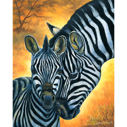 "Zebras" - Baby Zebra Art Print