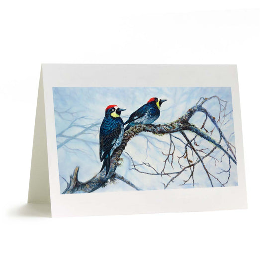 A pair of Acorn Woodpeckers in their beautiful red and yellow colors, perched on a mossy branch.