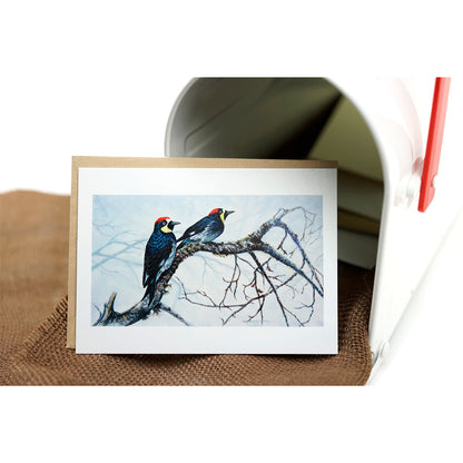 Acorn woodpecker greeting note card in a mailbox