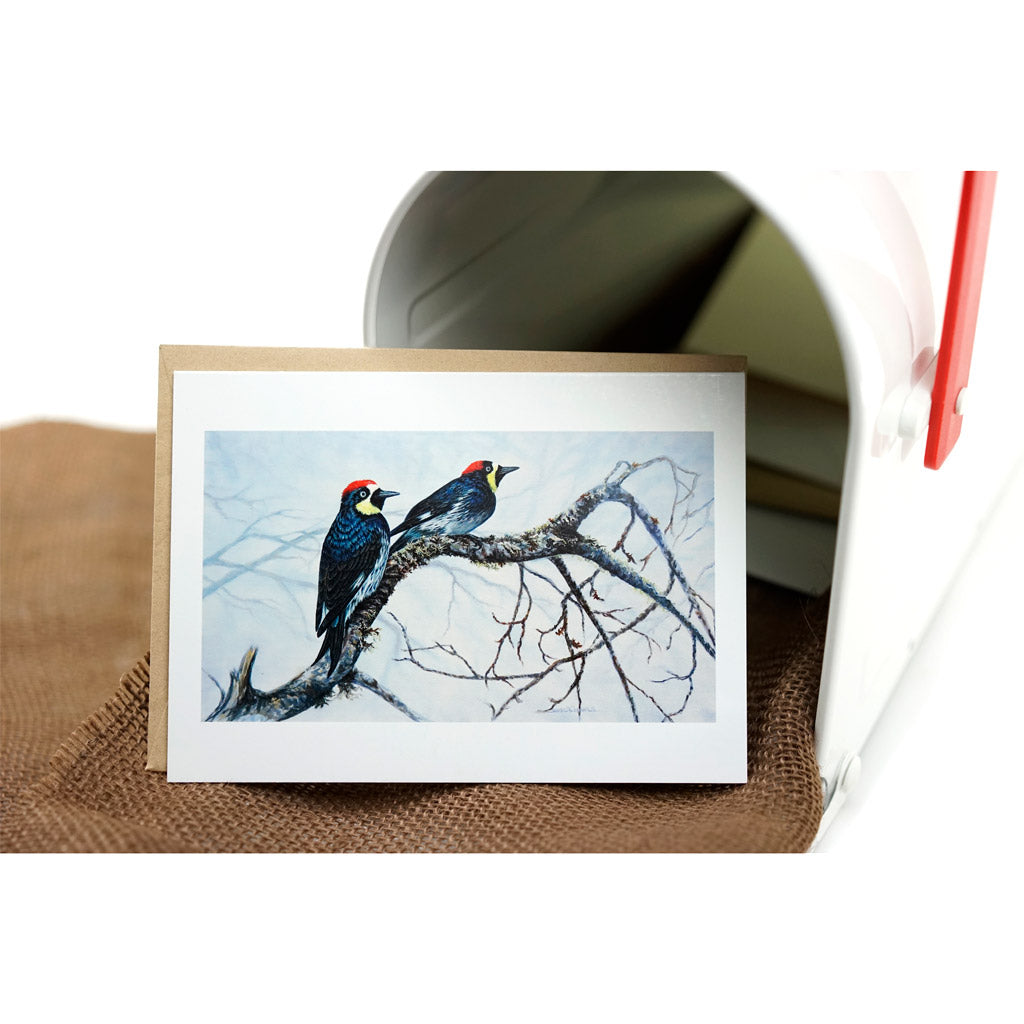 Acorn Woodpeckers greeting card featuring two woodpeckers with blue and red markings perched on a winter branch