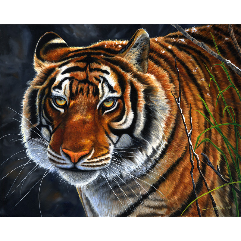 Siberian Tiger Art Print - "Tigers Eye"